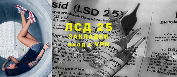 прущие грибы Навашино