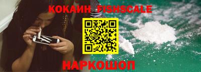индика Камышлов