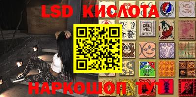 индика Камышлов