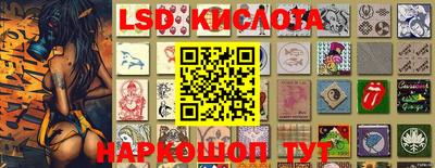 индика Камышлов
