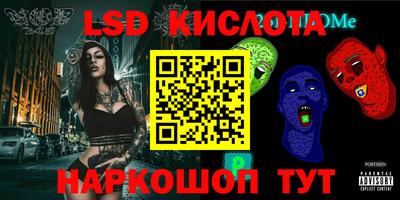индика Камышлов