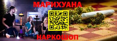 индика Камышлов