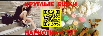 индика Камышлов