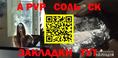 индика Камышлов