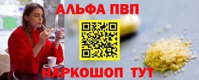индика Камышлов