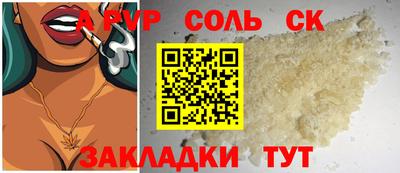 индика Камышлов