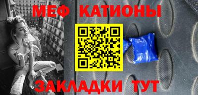индика Камышлов