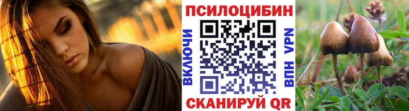 Галлюциногенные грибы Psilocybine cubensis  KRAKEN зеркало  Шумерля 
