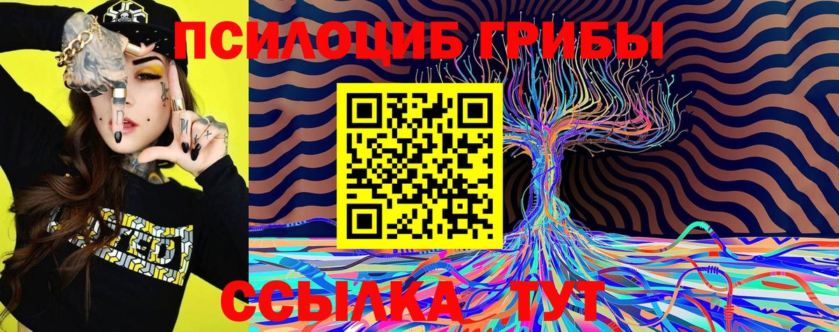 Псилоцибиновые грибы мицелий  Вход с VPN  Шумерля 
